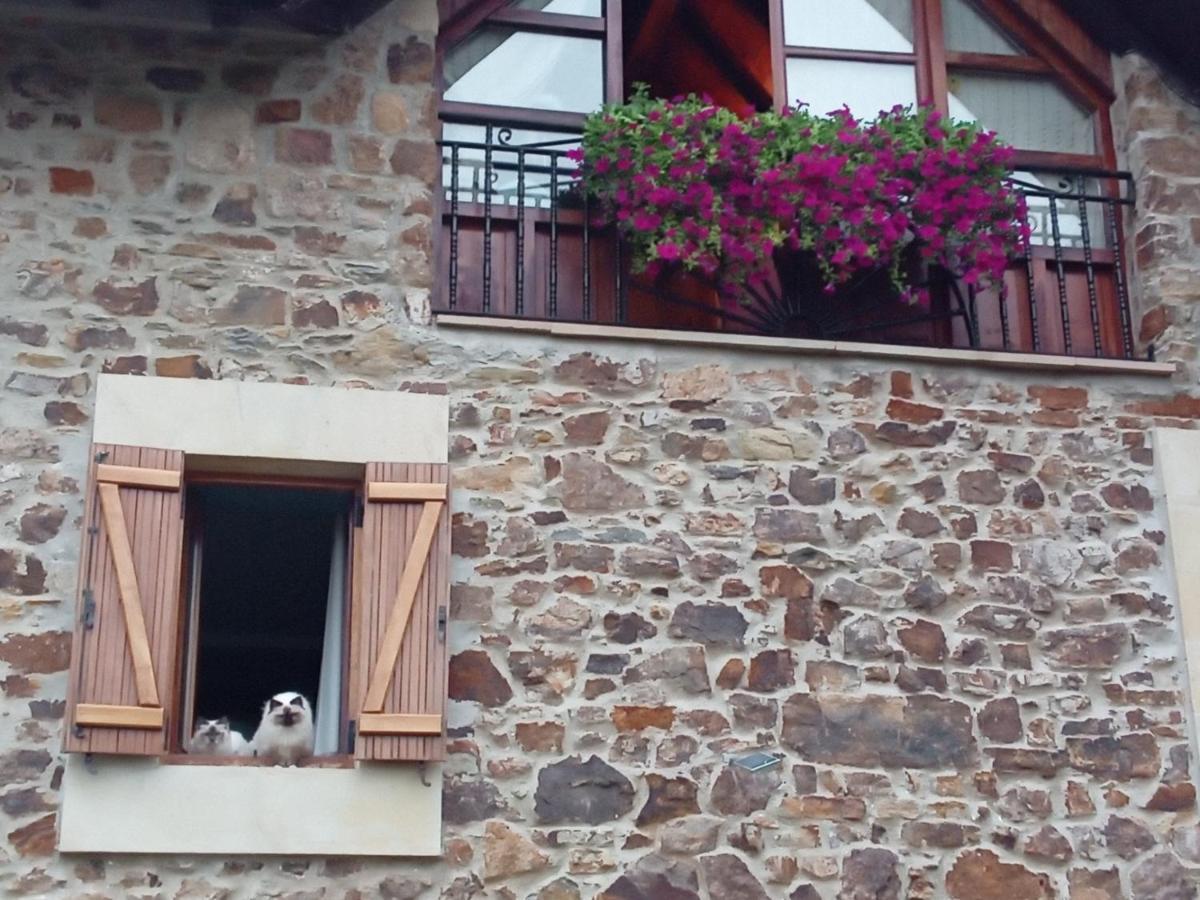 Maison d'hôtes Urrezko Ametsa à Sopuerta Extérieur photo